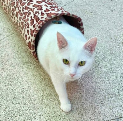 618671734_4295815800686928_6284445018410142591_n