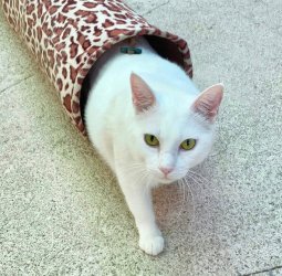 618671734_4295815800686928_6284445018410142591_n