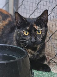 2026-01-18 at 10.19.131