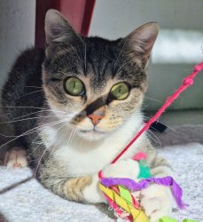 5f29c369-ae8d-4a82-9a1c-2dfb1bf8acf8