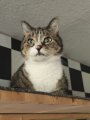 IMG-20250901-WA0114