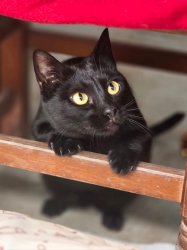 2026-04-12 at 20.17.131