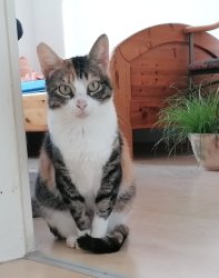 2025-11-13 um 13.06.38_2ba05e71