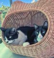 1778602922674