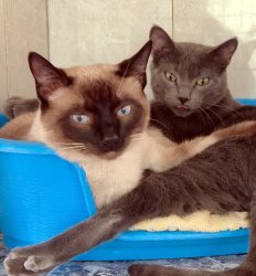 2026-04-26 at 08.20.45