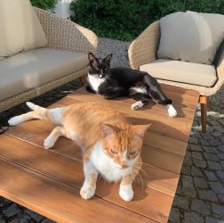 2026-07-181 at 10.25.44