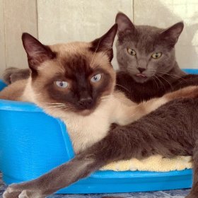 2026-04-26 at 08.20.45