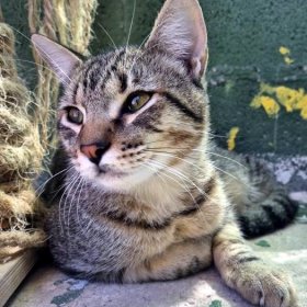 Utah 1