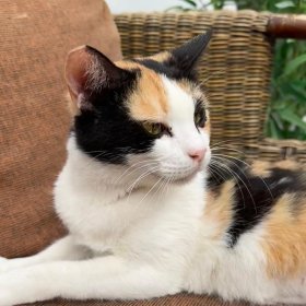 2026-04-18 at 20.17.245