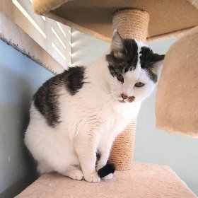 16191