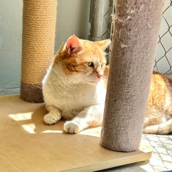IMG_1127