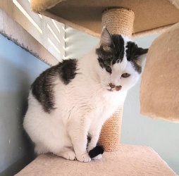 16191