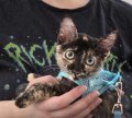 a2fcffda-ed47-4d81-b3e9-08de3a2b428f