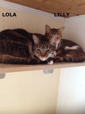 lola+lilly4